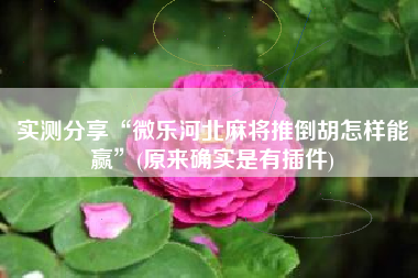 实测分享“微乐河北麻将推倒胡怎样能赢	”(原来确实是有插件)