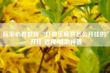 玩家必看教程“打微乐麻将怎么开挂的	”开挂(透视)辅助神器