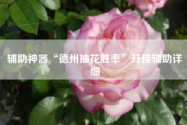 辅助神器“德州抽花胜率”开挂辅助详细