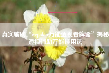 真实辅助“wepoker万能透视看牌器	”揭秘透视辅助万能挂用法