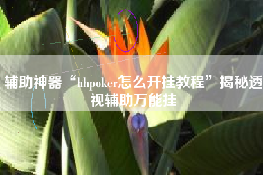 辅助神器“hhpoker怎么开挂教程”揭秘透视辅助万能挂