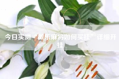 今日实测“微乐麻将如何买挂	”详细开挂