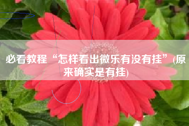 必看教程“怎样看出微乐有没有挂”(原来确实是有挂)
