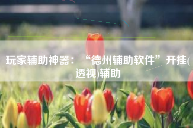 玩家辅助神器：“德州辅助软件	”开挂(透视)辅助