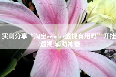 实测分享“淘宝wepoker透视有用吗”开挂(透视)辅助神器