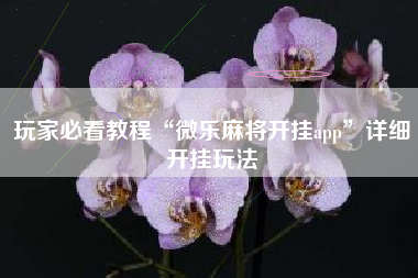 玩家必看教程“微乐麻将开挂app”详细开挂玩法