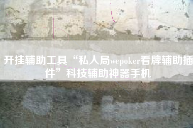 开挂辅助工具“私人局wepoker看牌辅助插件”科技辅助神器手机