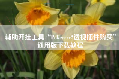 辅助开挂工具“Pokerrrr2透视插件购买	”通用版下载教程