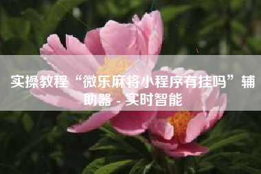 实操教程“微乐麻将小程序有挂吗”辅助器 - 实时智能