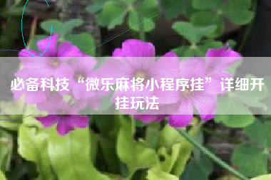 必备科技“微乐麻将小程序挂	”详细开挂玩法