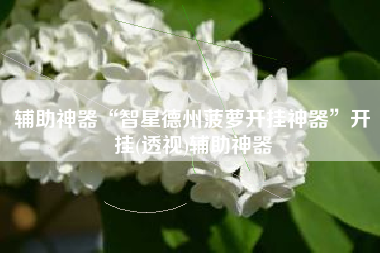 辅助神器“智星德州菠萝开挂神器”开挂(透视)辅助神器