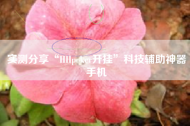 实测分享“HHpoker开挂	”科技辅助神器手机