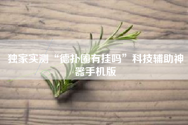 独家实测“德扑圈有挂吗”科技辅助神器手机版