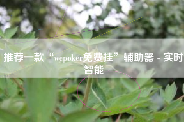 推荐一款“wepoker免费挂”辅助器 - 实时智能