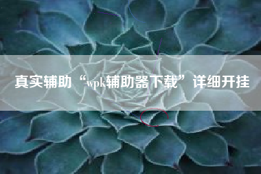 真实辅助“wpk辅助器下载”详细开挂