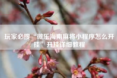 玩家必搜“微乐海南麻将小程序怎么开挂	”开挂详细教程