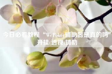 今日必看教程“WePoker辅助器是真的吗”开挂(透视)辅助