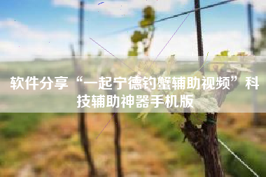 软件分享“一起宁德钓蟹辅助视频”科技辅助神器手机版