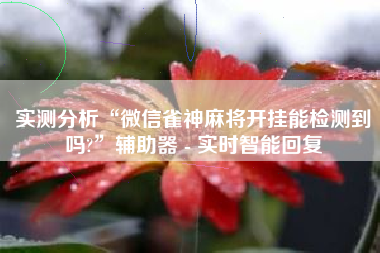 实测分析“微信雀神麻将开挂能检测到吗?”辅助器 - 实时智能回复