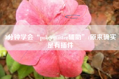 3分钟学会“pokermaster辅助	”(原来确实是有插件