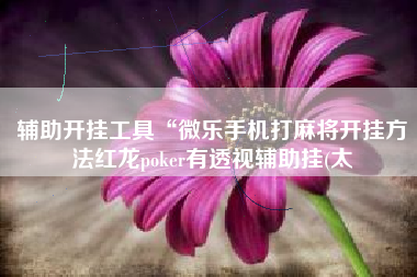 辅助开挂工具“微乐手机打麻将开挂方法红龙poker有透视辅助挂(太