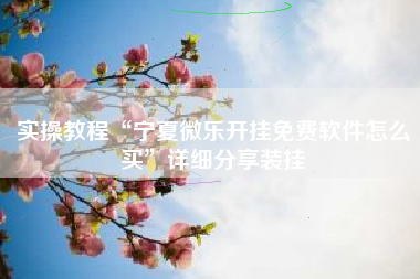 实操教程“宁夏微乐开挂免费软件怎么买”详细分享装挂