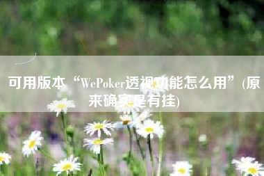 可用版本“WePoker透视功能怎么用	”(原来确实是有挂)
