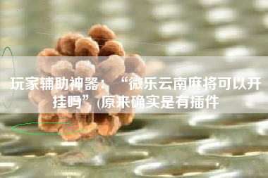 玩家辅助神器：“微乐云南麻将可以开挂吗”(原来确实是有插件