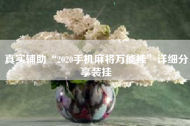 真实辅助“2020手机麻将万能挂”详细分享装挂
