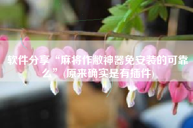 软件分享“麻将作敝神器免安装的可靠么”(原来确实是有插件)