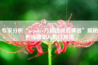 专家分析“wepoker万能透视看牌器”揭秘透视辅助万能挂用法