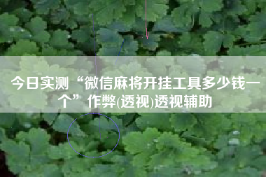 今日实测“微信麻将开挂工具多少钱一个”作弊(透视)透视辅助