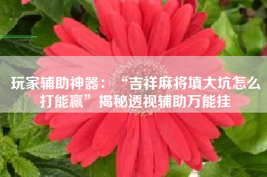 玩家辅助神器：“吉祥麻将填大坑怎么打能赢	”揭秘透视辅助万能挂