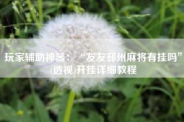 玩家辅助神器：“友友邳州麻将有挂吗”(透视)开挂详细教程