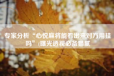 专家分析“心悦麻将能看出来对方用挂吗	”(曝光透视必备猫腻