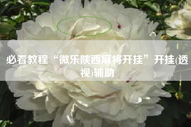 必看教程“微乐陕西麻将开挂	”开挂(透视)辅助