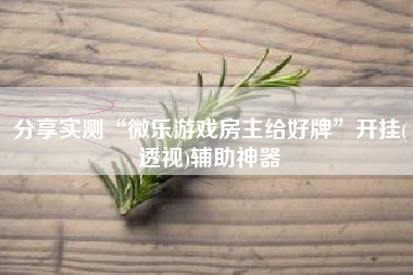分享实测“微乐游戏房主给好牌”开挂(透视)辅助神器