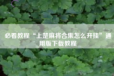 必看教程“上楚麻将合集怎么开挂	”通用版下载教程