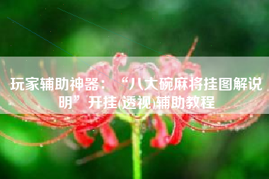 玩家辅助神器：“八大碗麻将挂图解说明”开挂(透视)辅助教程