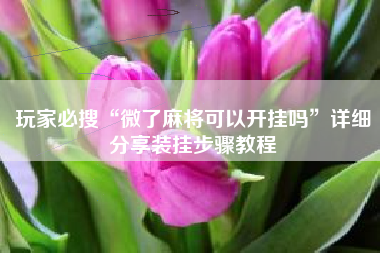 玩家必搜“微了麻将可以开挂吗”详细分享装挂步骤教程