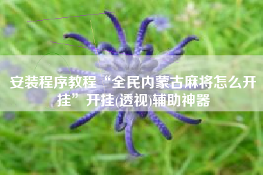 安装程序教程“全民内蒙古麻将怎么开挂”开挂(透视)辅助神器