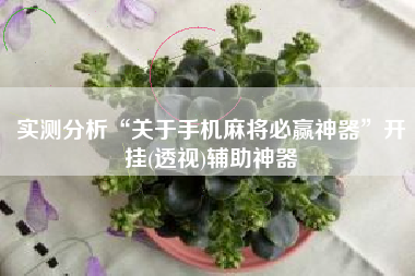 实测分析“关于手机麻将必赢神器”开挂(透视)辅助神器
