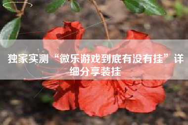 独家实测“微乐游戏到底有没有挂”详细分享装挂