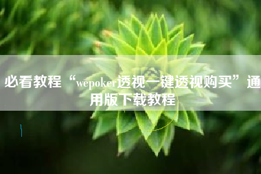 必看教程“wepoker透视一键透视购买”通用版下载教程