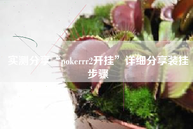 实测分享“pokerrr2开挂”详细分享装挂步骤