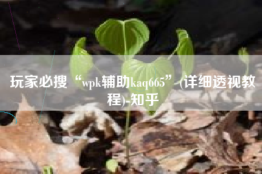 玩家必搜“wpk辅助kaq665”(详细透视教程)-知乎
