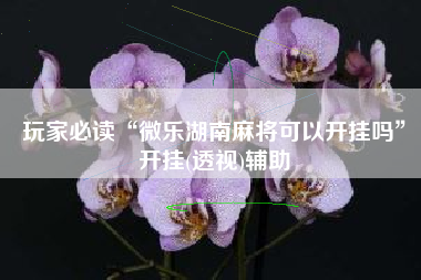 玩家必读“微乐湖南麻将可以开挂吗”开挂(透视)辅助