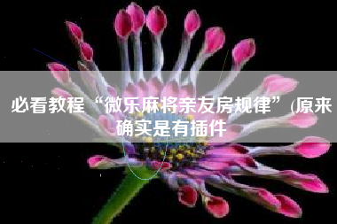 必看教程“微乐麻将亲友房规律”(原来确实是有插件