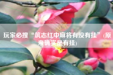 玩家必搜“筑志红中麻将有没有挂	”(原来确实是有挂)