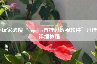 玩家必搜“wepoker有挂吗透视软件”开挂详细教程